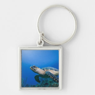 Kaimaninseln, Little Cayman Island, Unterwasser 2 Schlüsselanhänger