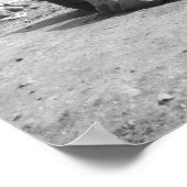 Kairo Ägypten, Camel Jockeys Giza Pyramids (NR) 2 Poster (Ecke)