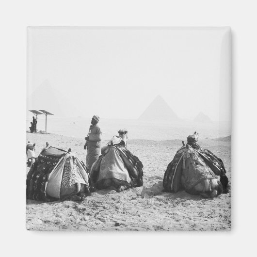 Kairo Ägypten, Camel Jockeys Giza Pyramids (NR) Magnet (Vorne)