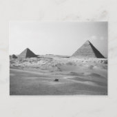 Kairo Ägypten, Gizeh Pyramiden Postkarte (Vorderseite)