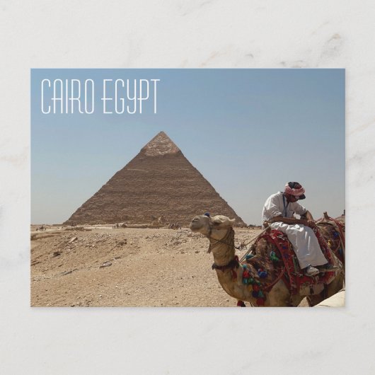 Kairo Ägypten Kamel vor der Pyramidenpostkarte Postkarte (Vorderseite)