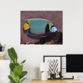 Kaiser Angelfish II Poster (Heimbüro)