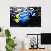 Kaiser Angelfish Poster (Heimbüro)