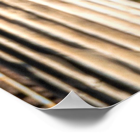 Kaiser Caesar Augustus Poster (Ecke)