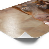 Kaiser Fotodruck (Ecke)