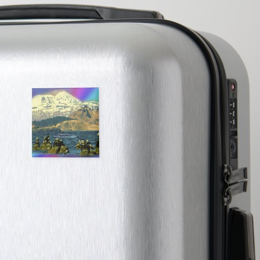 Kaiser Gänse in Chiniak Bay in der Nähe von Chinia Magnet (In Situ (Gepäck))