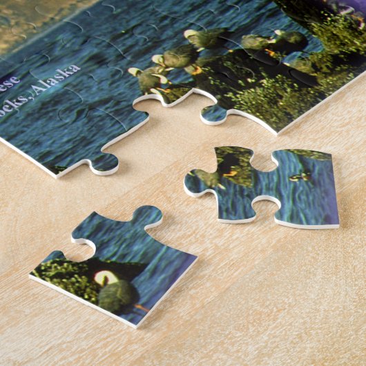 Kaiser Gänse in Chiniak Bay in der Nähe von Chinia Puzzle (Seite)