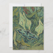 Kaiser Moth | Vincent van Gogh (Vorderseite)