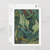 Kaiser Moth, Vincent van Gogh Postkarte (Vorne/Hinten)