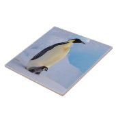 Kaiser Penguin | Aptenodytes Fliese (Seite)