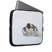 Kaiser Penguin (Aptenodytes forsteri) 2 Laptopschutzhülle (Vorne Rechts)