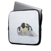 Kaiser Penguin (Aptenodytes forsteri) 2 Laptopschutzhülle (Vorderseite Links)