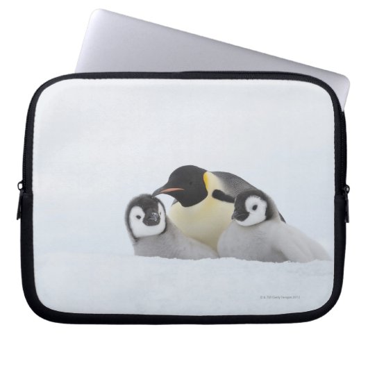 Kaiser Penguin (Aptenodytes forsteri) 2 Laptopschutzhülle (Vorderseite)