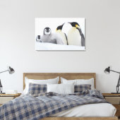 Kaiser Penguin (Aptenodytes forsteri) Leinwanddruck (Insitu (Schlafzimmer))