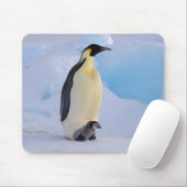 Kaiser Penguin | Aptenodytes Mousepad (Mit Mouse)