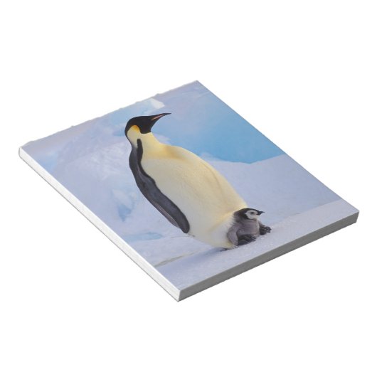 Kaiser Penguin | Aptenodytes Notizblock (angewinkelt)