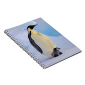 Kaiser Penguin | Aptenodytes Notizblock (Rechte Seite)