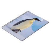 Kaiser Penguin | Aptenodytes Notizblock (Linke Seite)