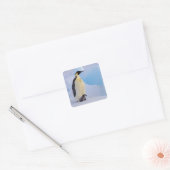Kaiser Penguin | Aptenodytes Quadratischer Aufkleber (Umschlag)