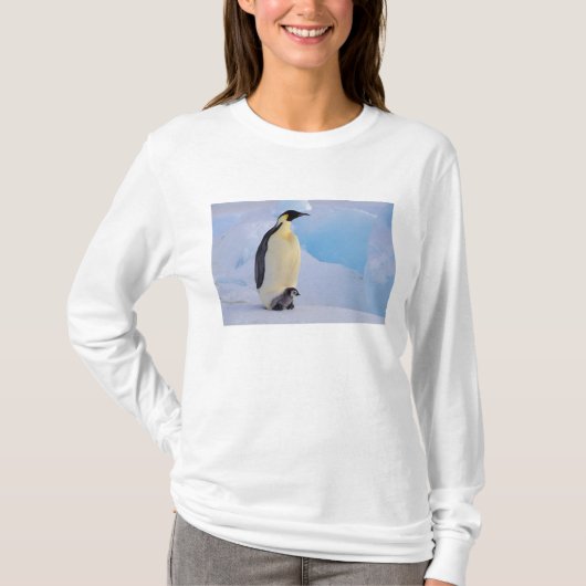 Kaiser Penguin | Aptenodytes T-Shirt (Vorderseite)