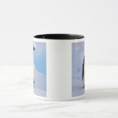 Kaiser Penguin | Aptenodytes Tasse (Zentrum)