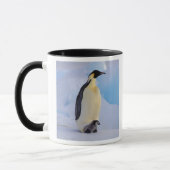 Kaiser Penguin | Aptenodytes Tasse (Links)