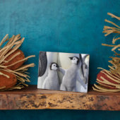 Kaiser Penguin Chick Fotoplatte (Seite)