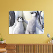 Kaiser Penguin Chick Leinwanddruck (Insitu (Wohnzimmer))