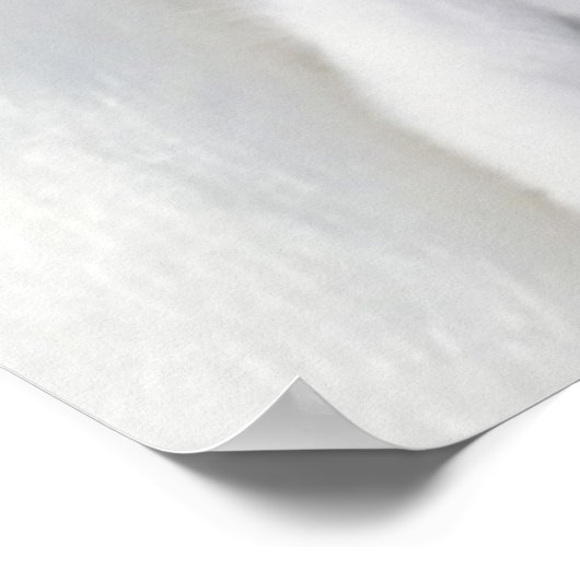 Kaiser Penguin Chick Poster (Ecke)