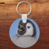 Kaiser Penguin Chick Schlüsselanhänger (Vorderseite)