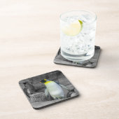 Kaiser Penguin Getränkeuntersetzer (Rechte Seite)