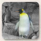 Kaiser Penguin Getränkeuntersetzer (Vorderseite)