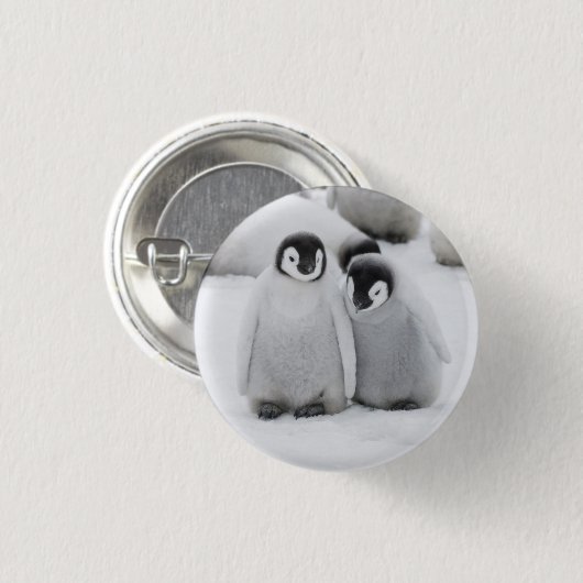 Kaiser Penguin Hühner auf Eis in der Antarktis Button (Vorne & Hinten)