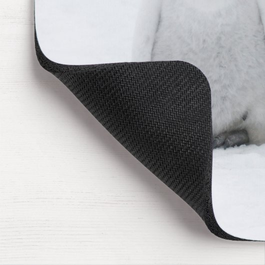 Kaiser Penguin Hühner auf Eis in der Antarktis Mousepad (Ecke)