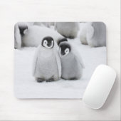 Kaiser Penguin Hühner auf Eis in der Antarktis Mousepad (Mit Mouse)
