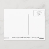 Kaiser Penguin Kiss - Postkarte (Rückseite)