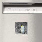 Kaiser Penguin Magnet (In Situ (Geschirrspüler))