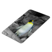 Kaiser Penguin Magnet (Linke Seite)
