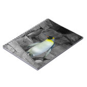 Kaiser Penguin Notizblock (Linke Seite)