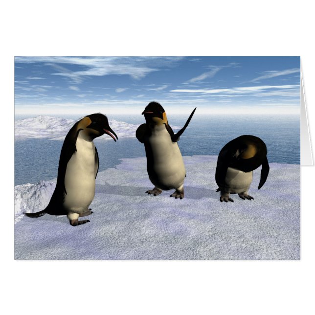 Kaiser Penguins (Vorderseite (Horizontal))