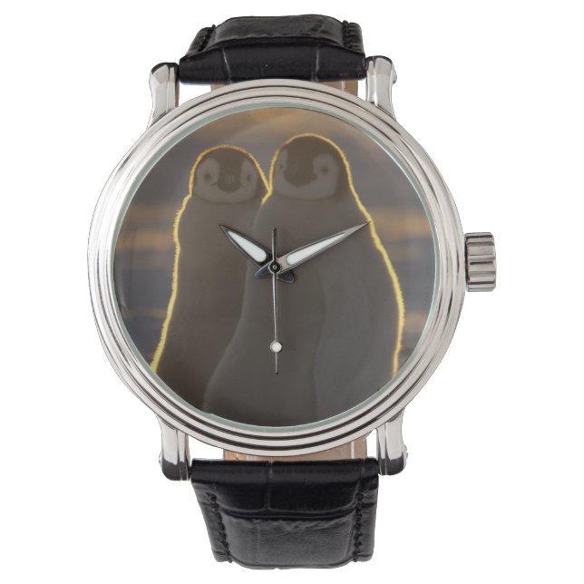 Kaiser Penguins Armbanduhr (Vorderseite)