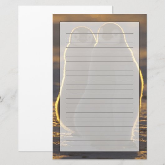 Kaiser Penguins Briefpapier (Vorne/Hinten)