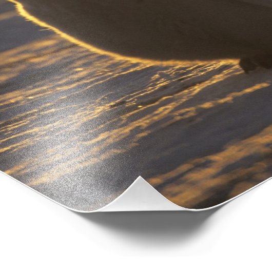 Kaiser Penguins Fotodruck (Ecke)