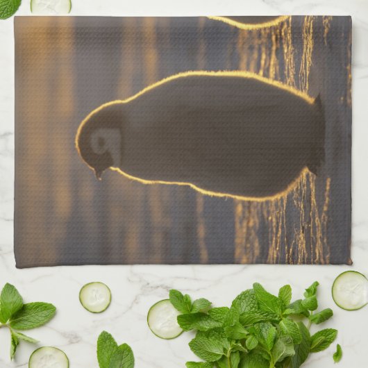 Kaiser Penguins Geschirrtuch (Gefaltet)