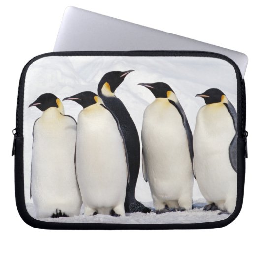 Kaiser Penguins Laptopschutzhülle (Vorderseite)
