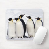Kaiser Penguins Mousepad (Mit Mouse)