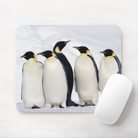 Kaiser Penguins Mousepad (Mit Mouse)