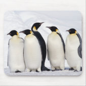 Kaiser Penguins Mousepad (Vorne)