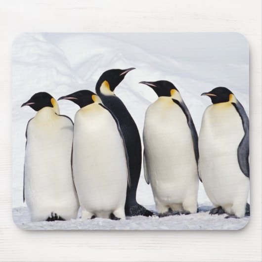 Kaiser Penguins Mousepad (Vorne)