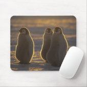 Kaiser Penguins Mousepad (Mit Mouse)